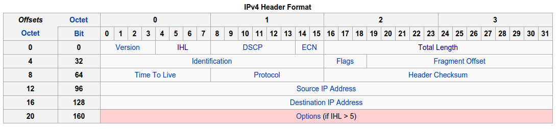 IP packet format