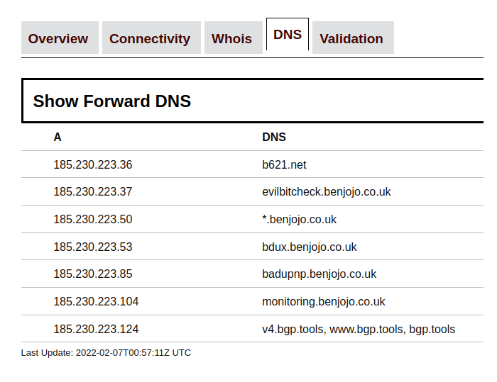 bgp.tools DNS view
