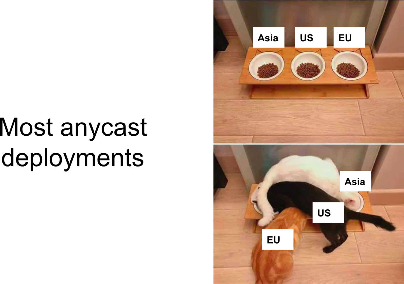 Cat bowl based anycast routing